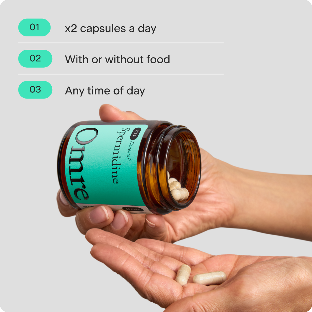 Cellular Renewal Spermidine